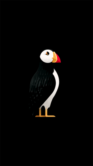 Colorful Puffin Illustration on Black Background