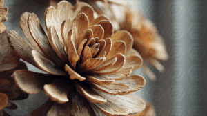 Close-Up of Wooden Floral Carving in Soft Light