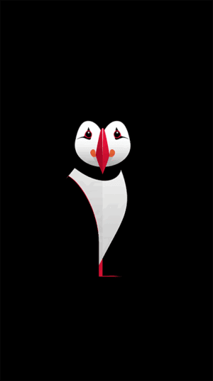 Cute Minimalist Puffin Character with Red Beak