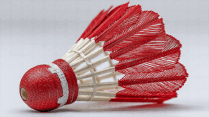 Traditional Shuttlecock With Red and White Threadwork