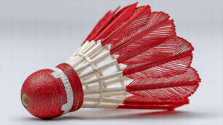 Traditional Shuttlecock With Red and White Threadwork