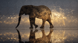 Elephant Silhouette Walking Through Star-Filled Dreamscape