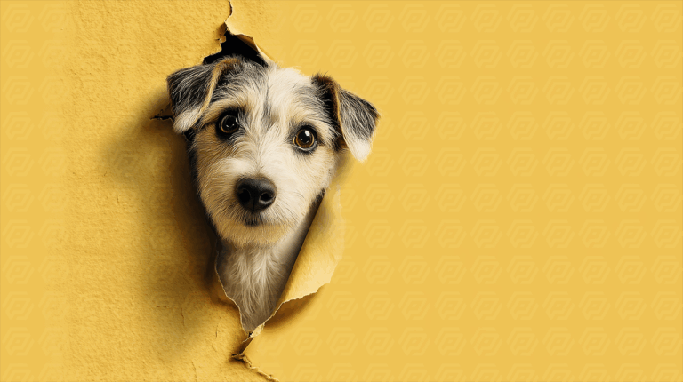 Cute Dog Peeking Through Yellow Torn Paper