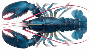 Symmetrical Digital Lobster Art With Vibrant Red Claws