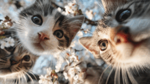 Curious Kittens Exploring Blossoms Up Close