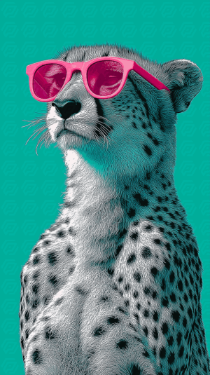 Cheetah With Pink Sunglasses Looking Into Distance On Teal Background