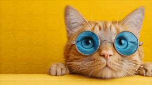 Cute Orange Cat with Big Blue Glasses Resting on Yellow Surface