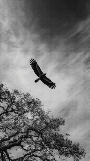 Soaring Bird of Prey Over Dramatic Sky
