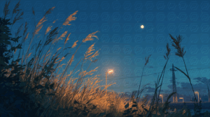 Tall Grass Glowing in Moonlight with a View of Distant Highway
