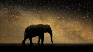 Elephant Silhouette Walking Under Star-Filled Night Sky