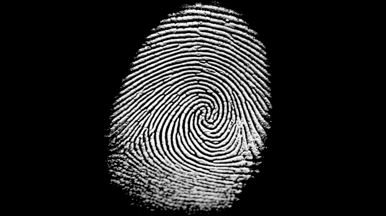 Fingerprint Image Emphasizing Loop Pattern on Black